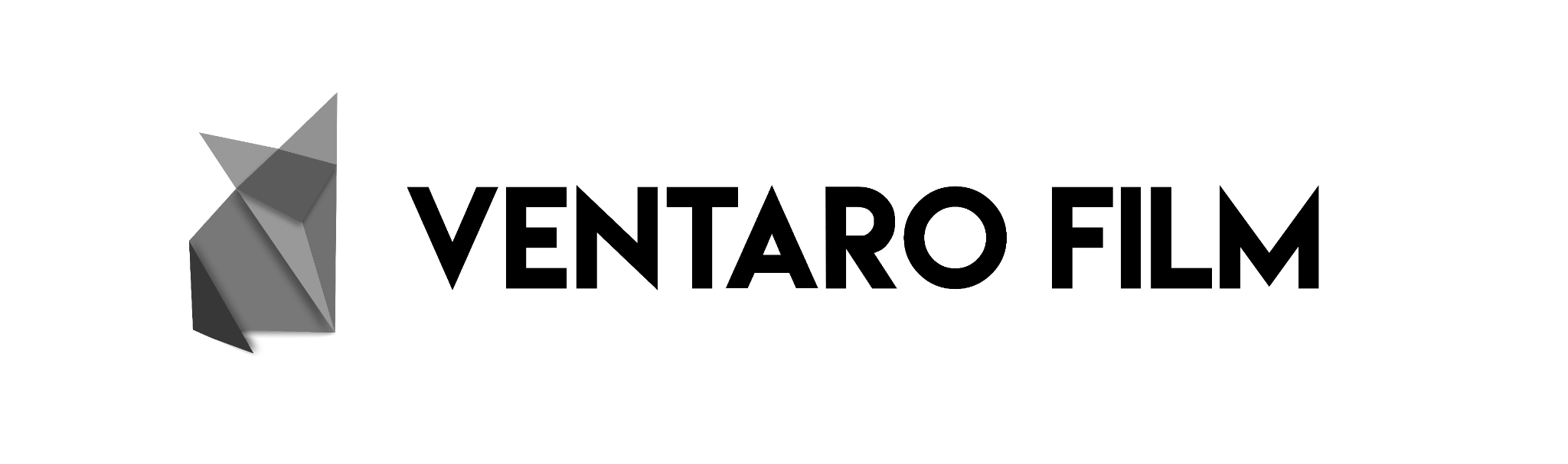 Ventaro Film